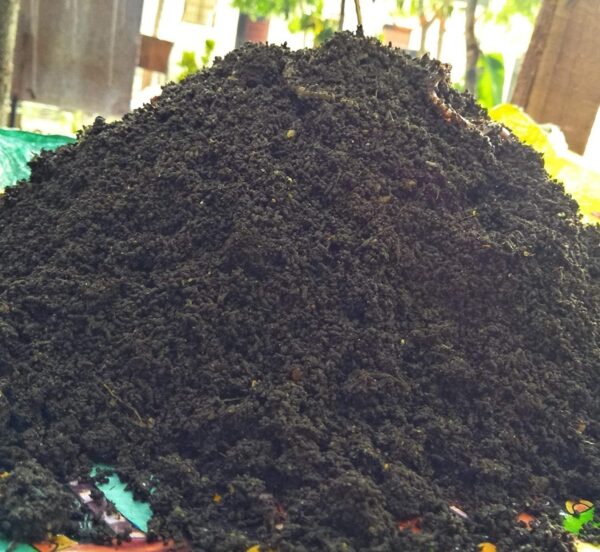 organic-vermicompost- black-fertilizer Nutrient-rich organic vermicompost for gardens
