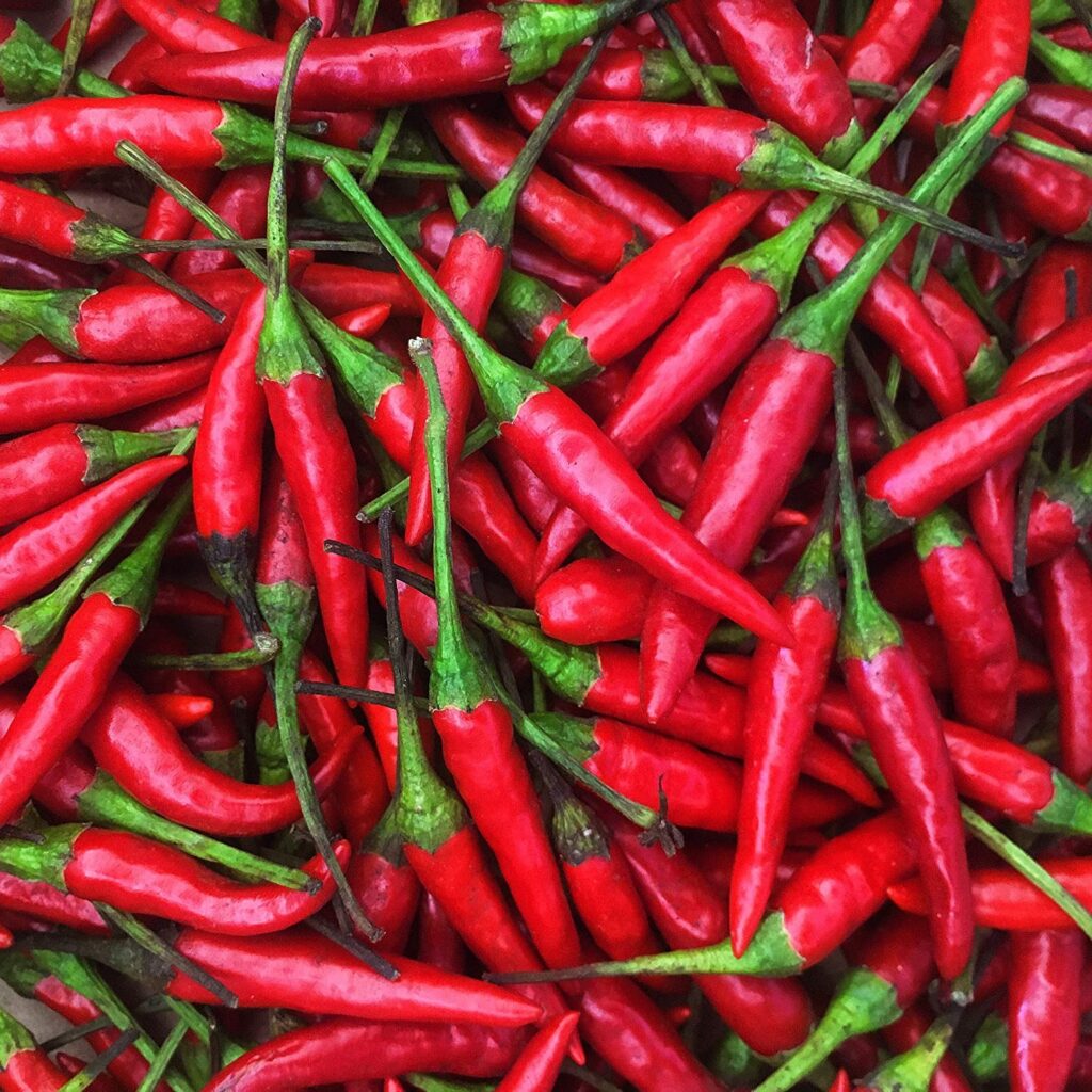 Bird’s Eye Pepper Seeds ready for planting