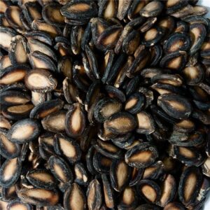 watermelon seeds bulk supply
