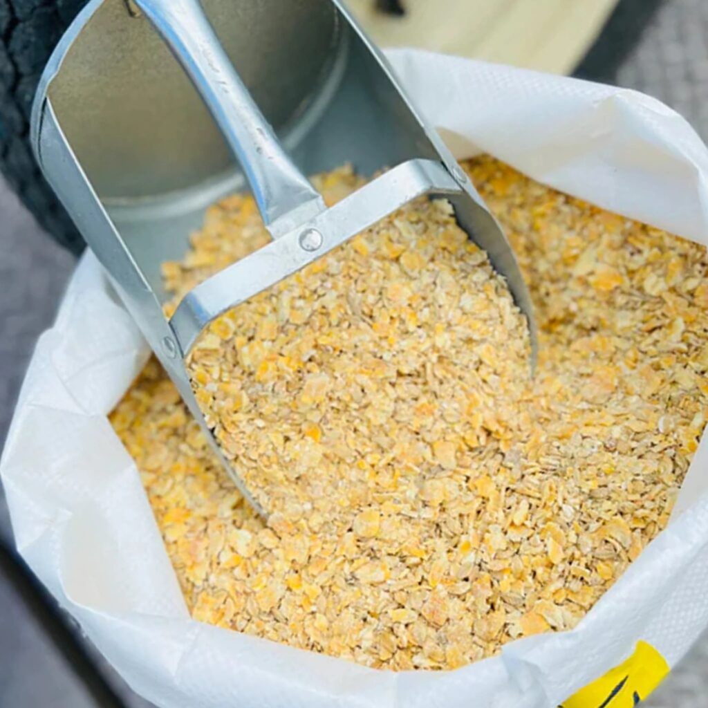 livestock barley feed
