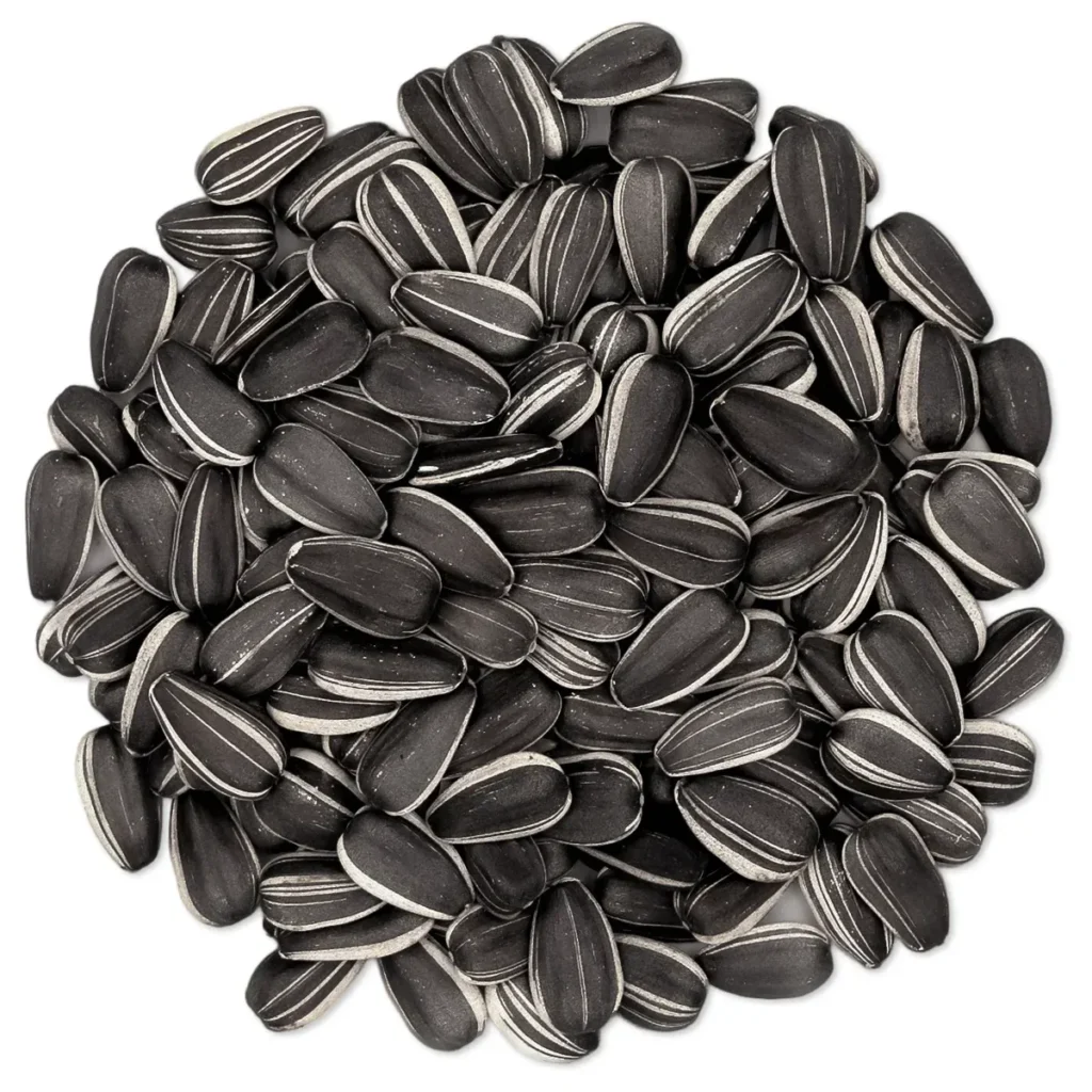sunflower seeds bulk supplier