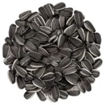 Sunflower Seeds sunflower seeds bulk supplier