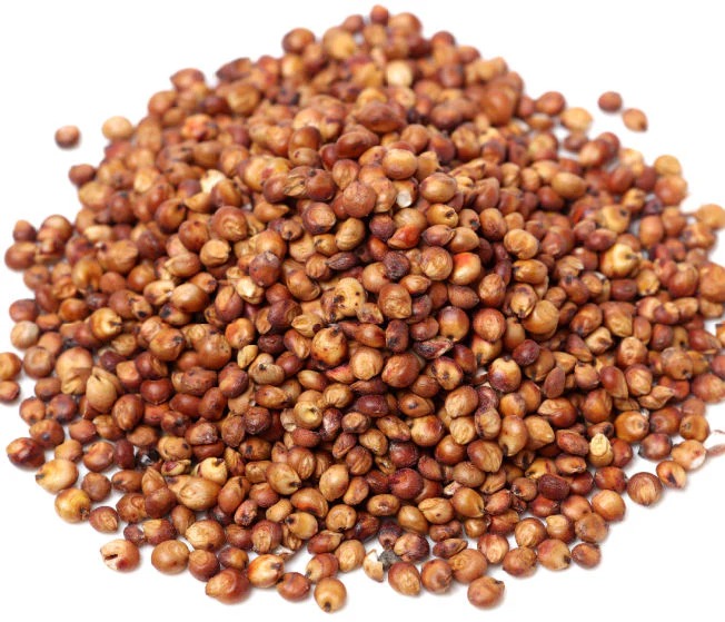 sorghum grain for sale