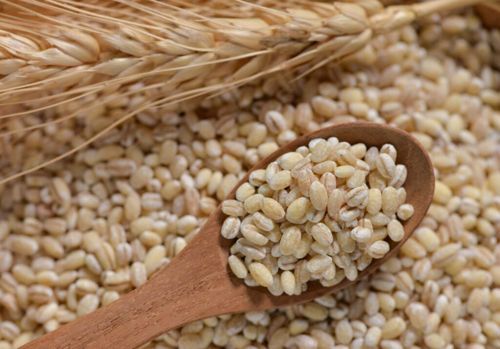 white sorghum used for flour production