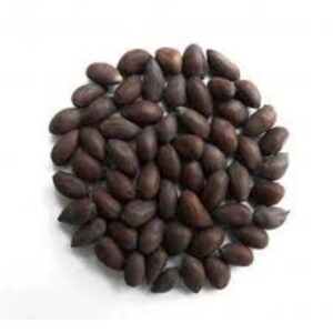 whole cottonseed for sale bulk livestock feed