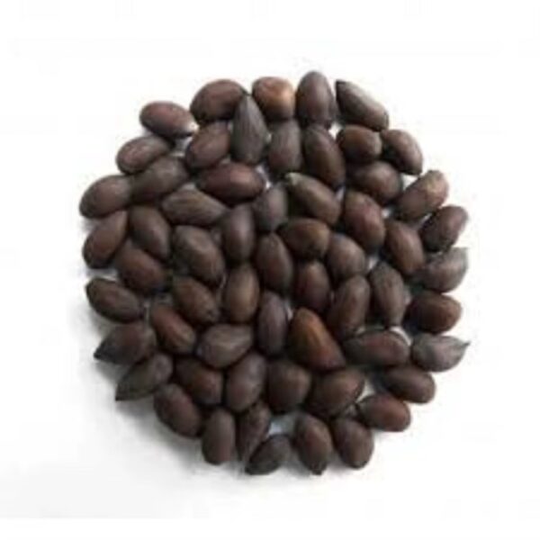 whole cottonseed for sale bulk livestock feed