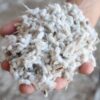 whole cottonseed for sale bulk livestock feed
