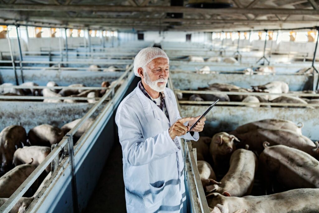 Animal feed supplements for cattle and poultry farming