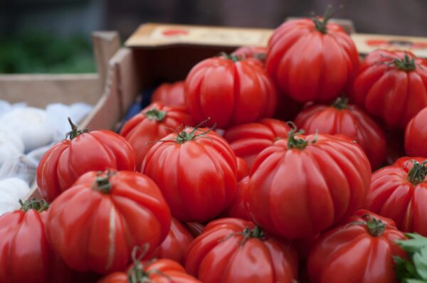 Bulk beefsteak tomato South Africa supply