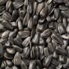 black oil sunflower seeds (1) Black Oil Sunflower Seeds South Africa | Bulk Supply