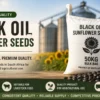 black_oil_sunflower_banner Black oil sunflower seeds South Africa bulk supply