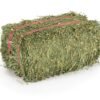 Alfalfa Hay (2) Premium alfalfa hay bales for livestock feeding