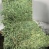 Alfalfa Hay (3) High-quality alfalfa hay for cattle and horses