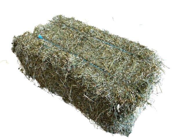 Bulk Lucerne Hay supply for dairy farms