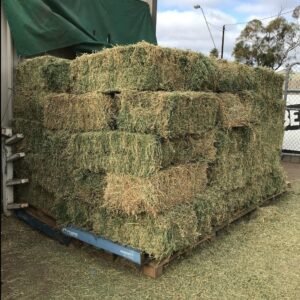 Lucerne Hay (4) High-quality Lucerne Hay for cattle and horses