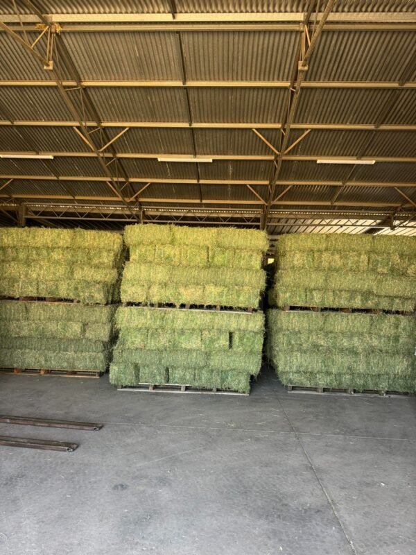 Commercial Lucerne Hay storage and export supply