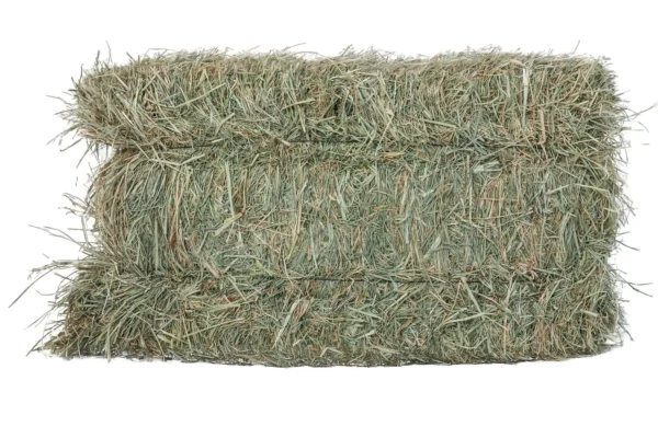 Round Rhodes Grass Hay bales in an agricultural field