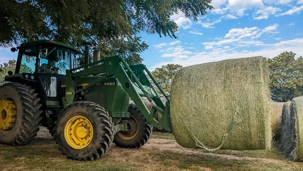 Premium soybean hay bales for cattle, dairy, and livestock feeding. Available in round and square bales with bulk supply options for commercial farms and feed operations. MOQ: 20 Bales