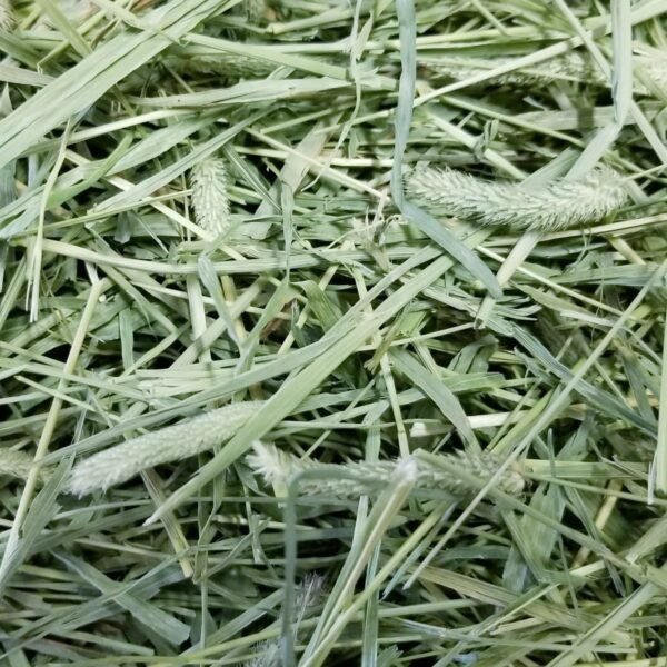 High-quality Timothy Hay for rabbits and guinea pigs