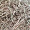 Premium Timothy Hay bales for horses and livestock