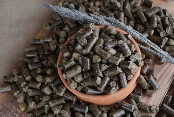 High-protein canola meal for animal feed