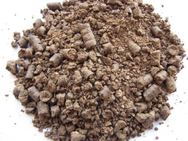 groundnut meal (1) Peanut Meal for Sale | Bulk Groundnut Meal Supplier